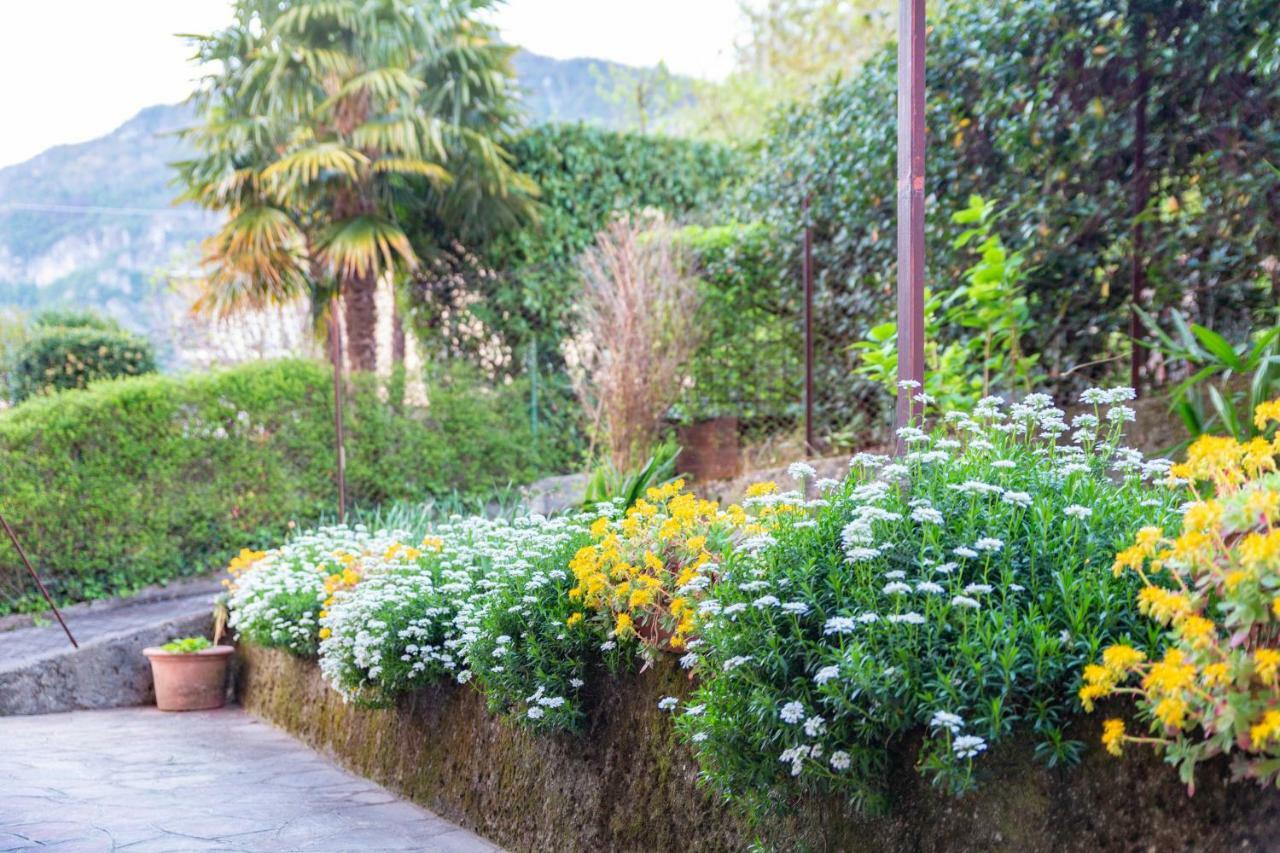 Casa Alice Lierna Exterior foto